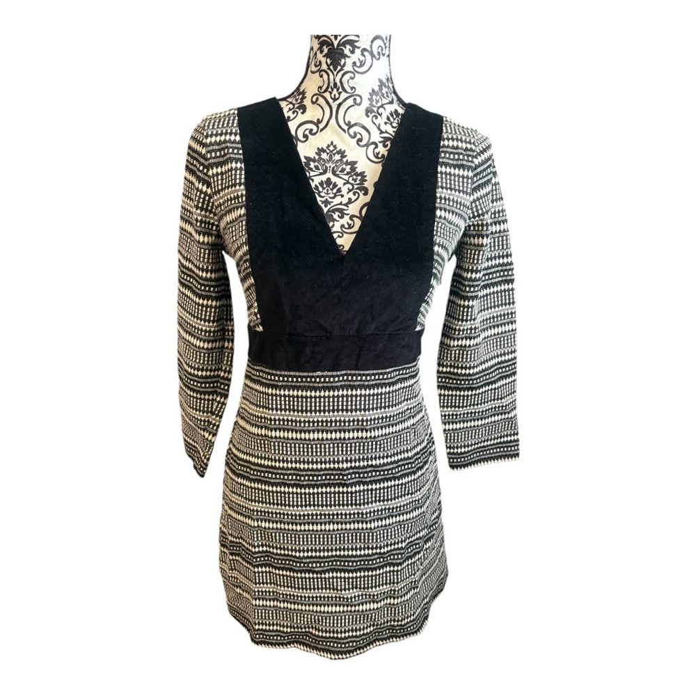 ZARA Velvet Trim Mini Dress